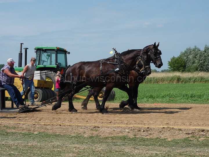 alto-fair-horse-pull-2009-010