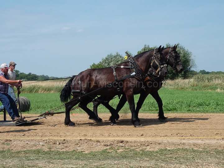 alto-fair-horse-pull-2009-013