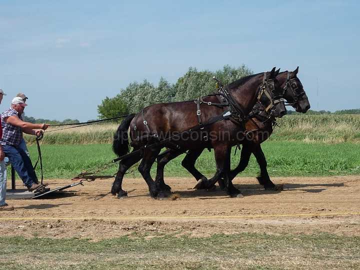 alto-fair-horse-pull-2009-014
