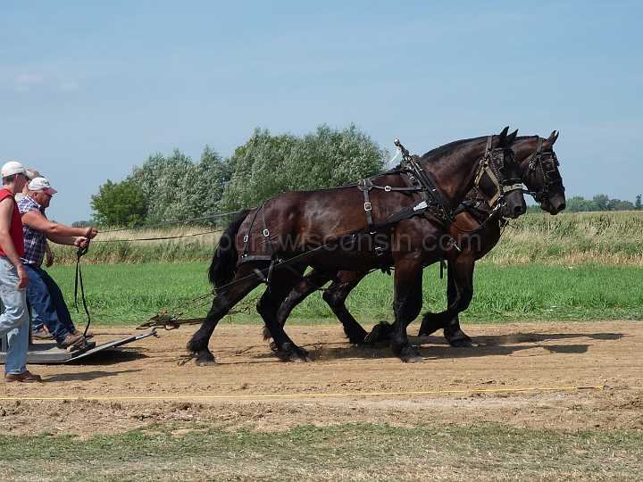 alto-fair-horse-pull-2009-015