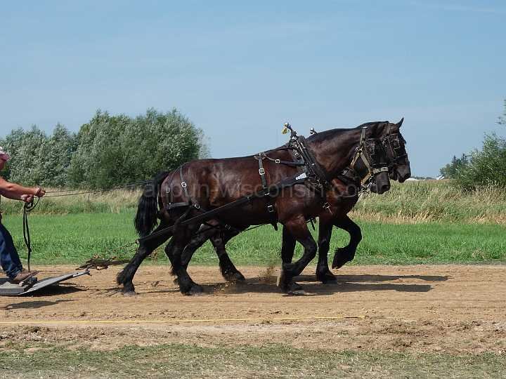 alto-fair-horse-pull-2009-016