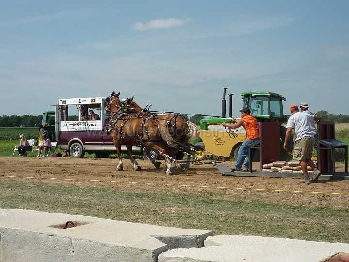alto-fair-horse-pull-2009-020