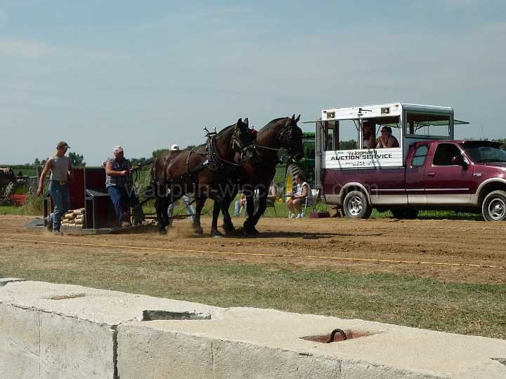 alto-fair-horse-pull-2009-028