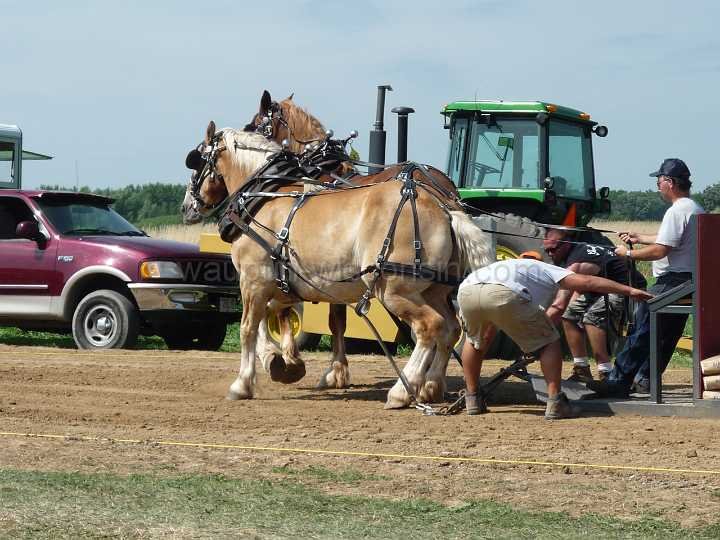alto-fair-horse-pull-2009-044