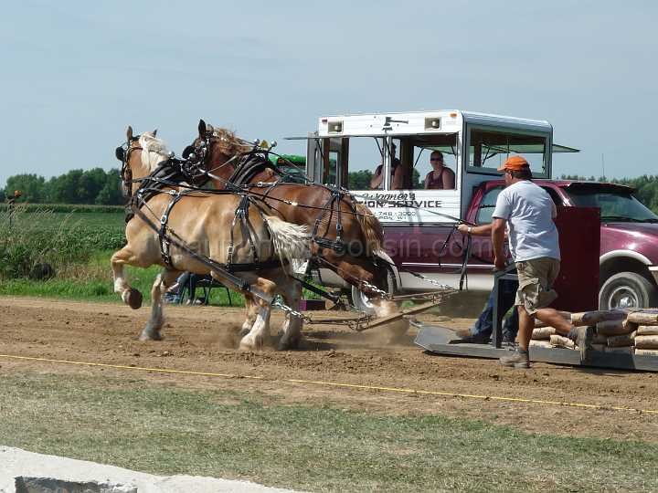 alto-fair-horse-pull-2009-052