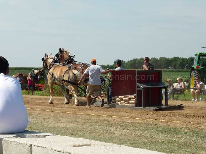 alto-fair-horse-pull-2009-057