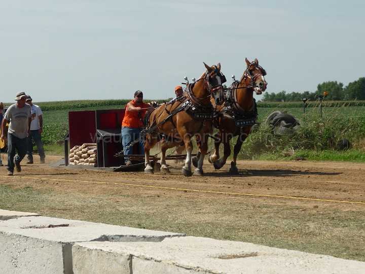 alto-fair-horse-pull-2009-059