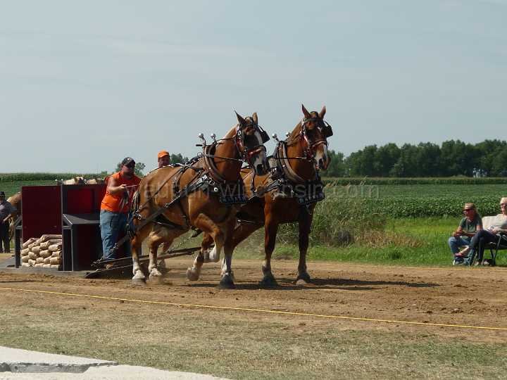 alto-fair-horse-pull-2009-061