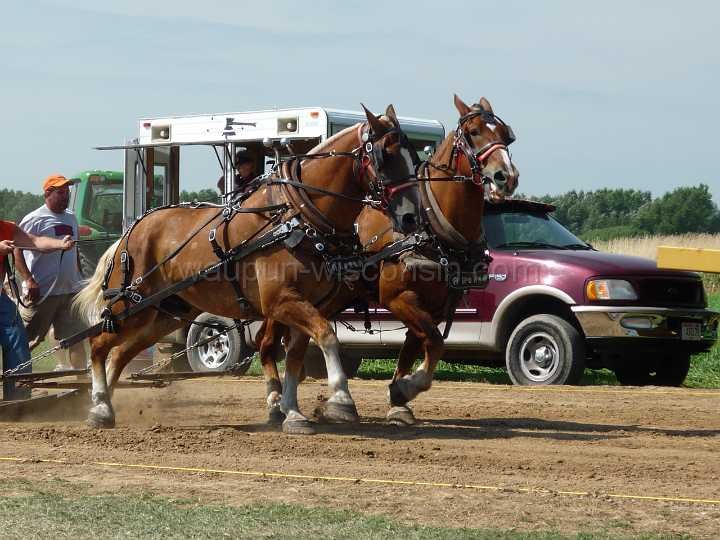alto-fair-horse-pull-2009-067