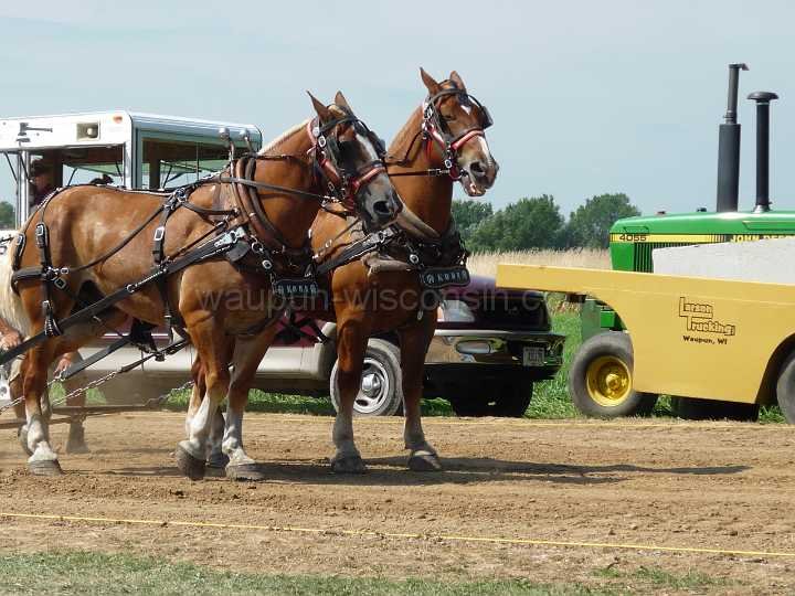 alto-fair-horse-pull-2009-069