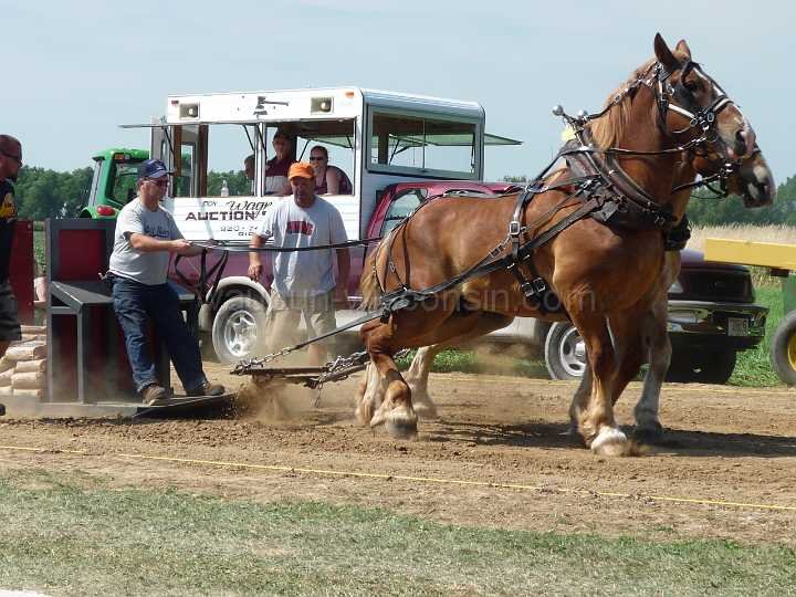 alto-fair-horse-pull-2009-075