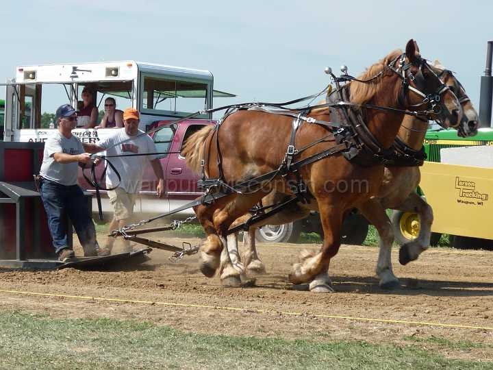 alto-fair-horse-pull-2009-076