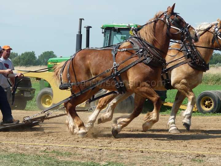 alto-fair-horse-pull-2009-079