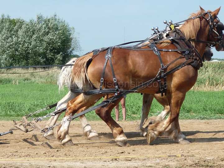 alto-fair-horse-pull-2009-085