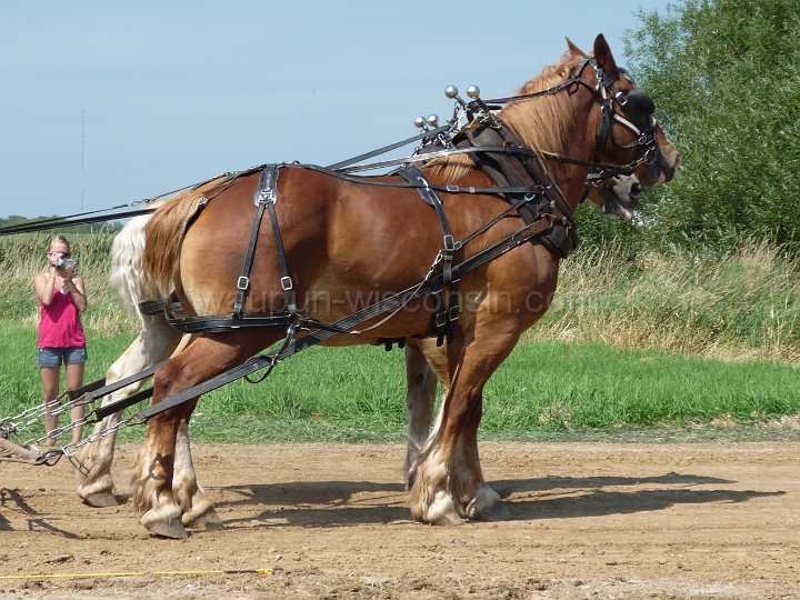 alto-fair-horse-pull-2009-087