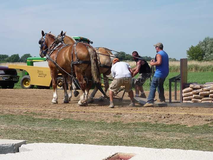 alto-fair-horse-pull-2009-091