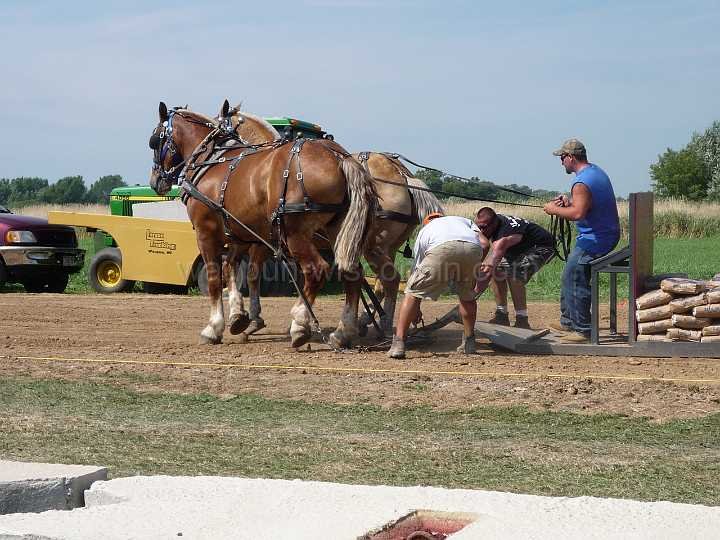 alto-fair-horse-pull-2009-092