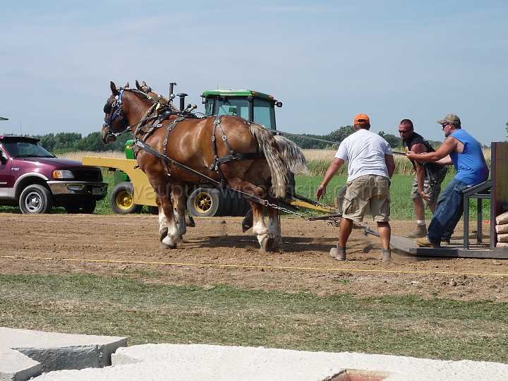 alto-fair-horse-pull-2009-094