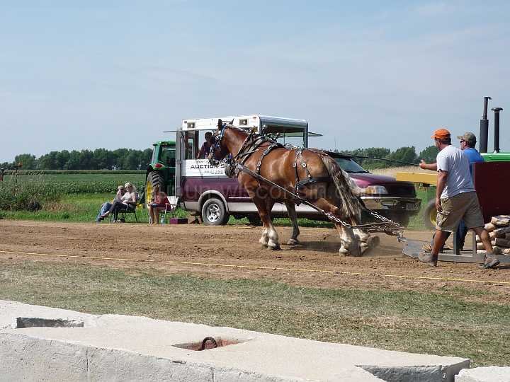 alto-fair-horse-pull-2009-099