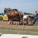 alto-fair-horse-pull-2009-093