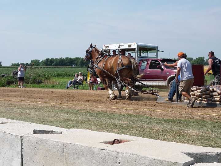 alto-fair-horse-pull-2009-100
