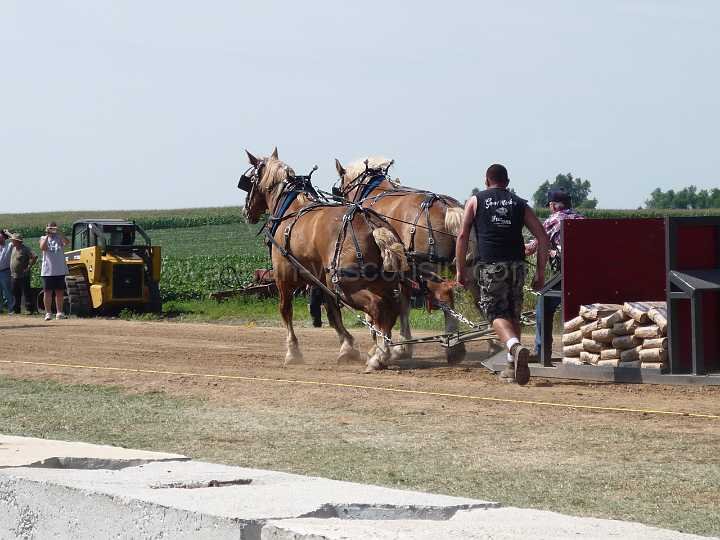 alto-fair-horse-pull-2009-110