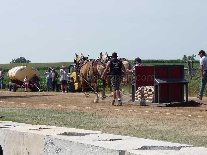 alto-fair-horse-pull-2009-114