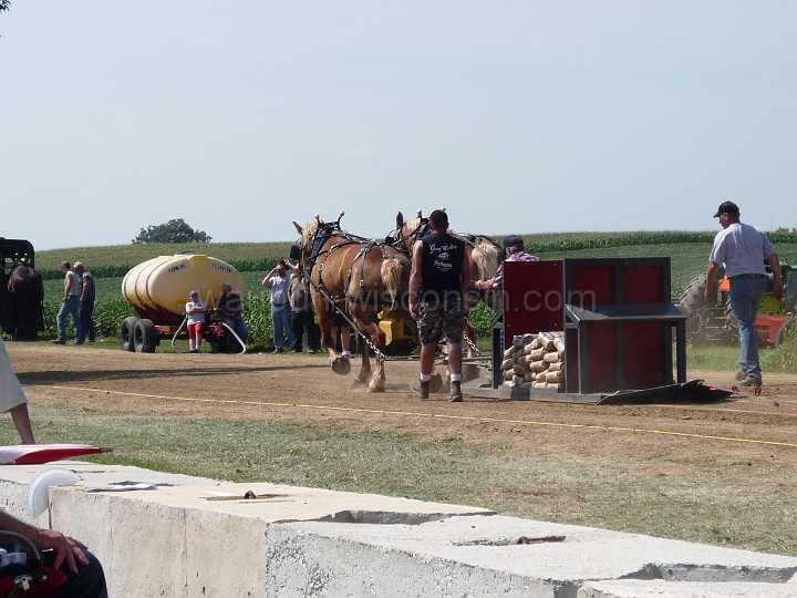 alto-fair-horse-pull-2009-116