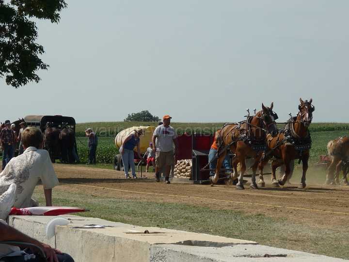 alto-fair-horse-pull-2009-119