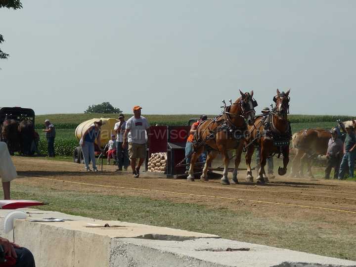 alto-fair-horse-pull-2009-120