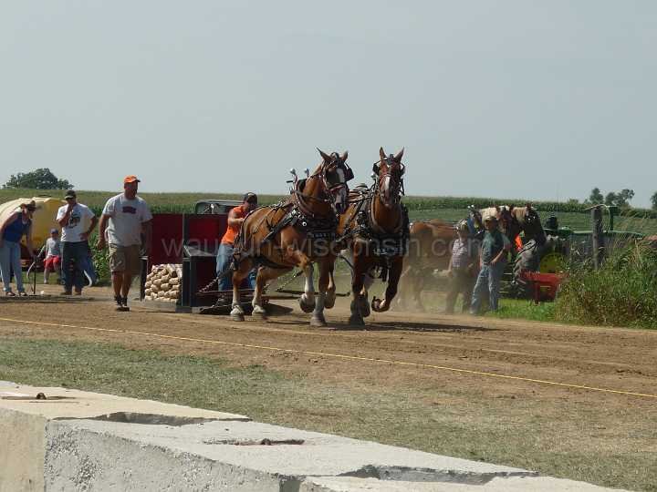 alto-fair-horse-pull-2009-121