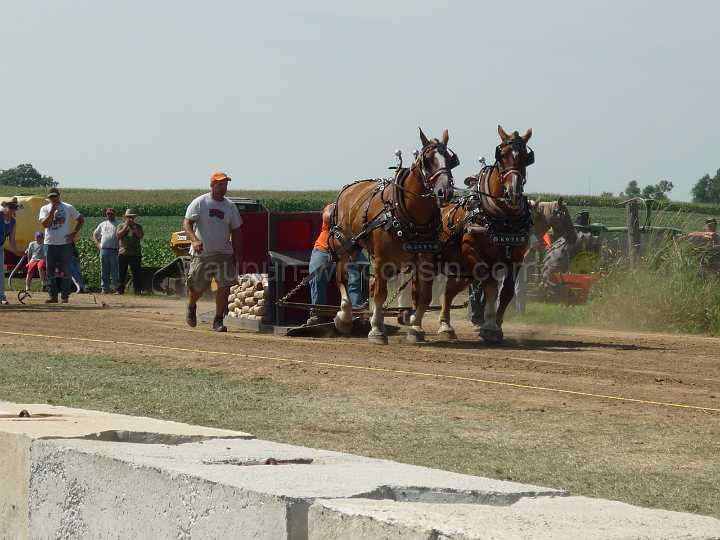 alto-fair-horse-pull-2009-124