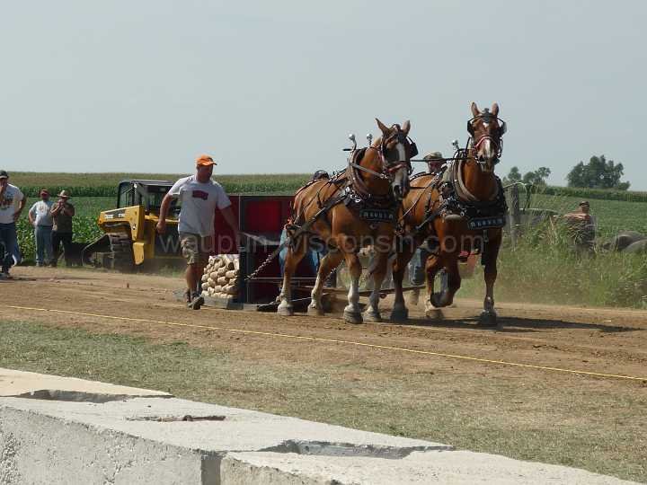 alto-fair-horse-pull-2009-126
