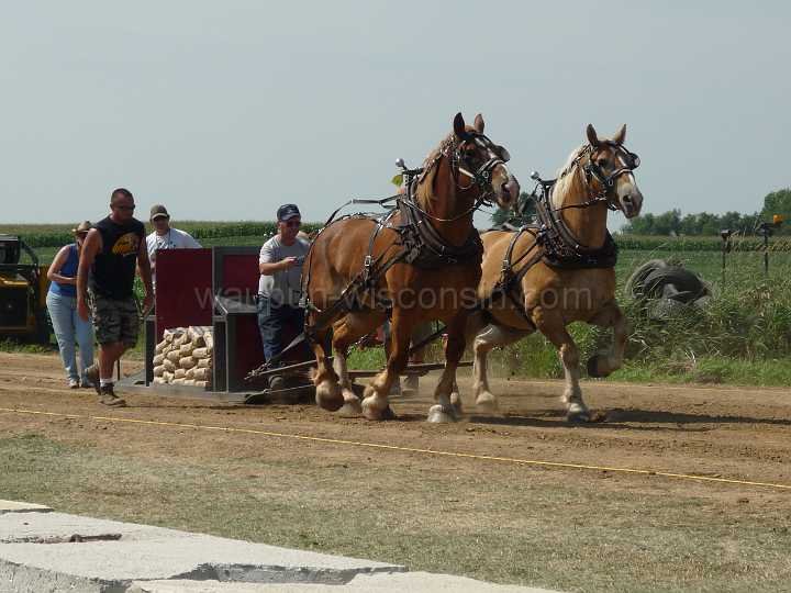 alto-fair-horse-pull-2009-128