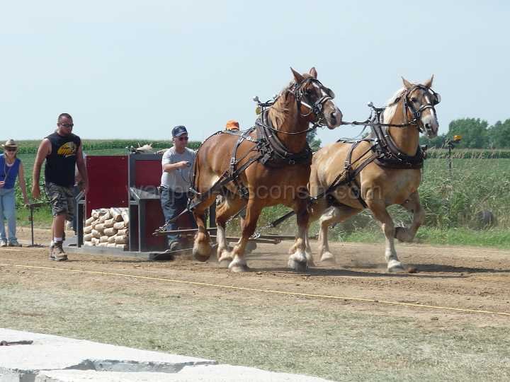 alto-fair-horse-pull-2009-129