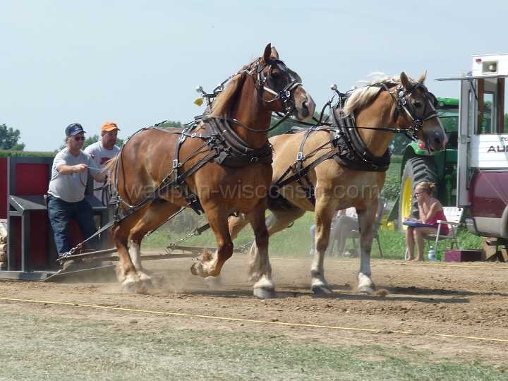 alto-fair-horse-pull-2009-132