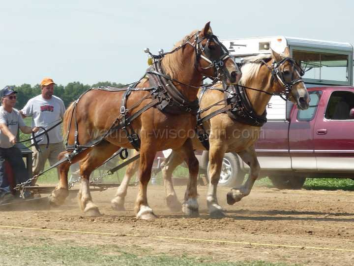 alto-fair-horse-pull-2009-134