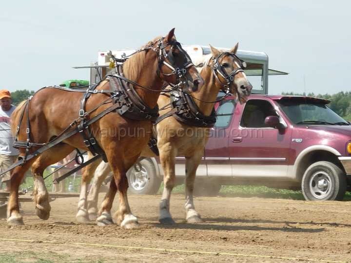 alto-fair-horse-pull-2009-135