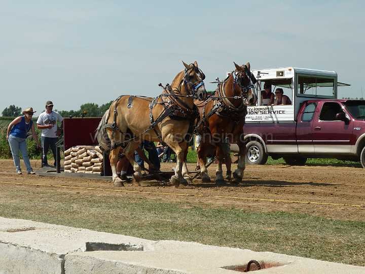 alto-fair-horse-pull-2009-138