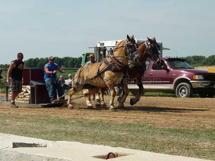 alto-fair-horse-pull-2009-142