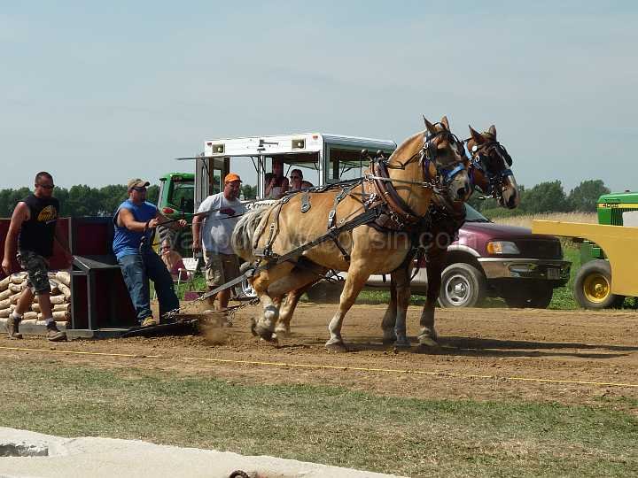alto-fair-horse-pull-2009-144