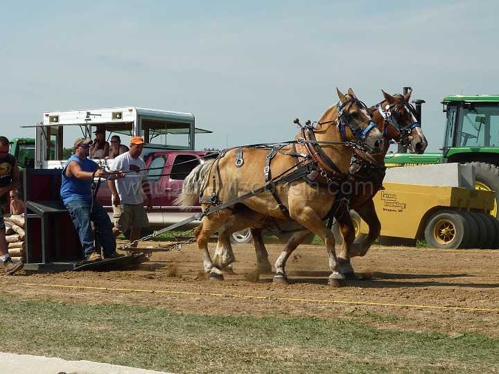 alto-fair-horse-pull-2009-146