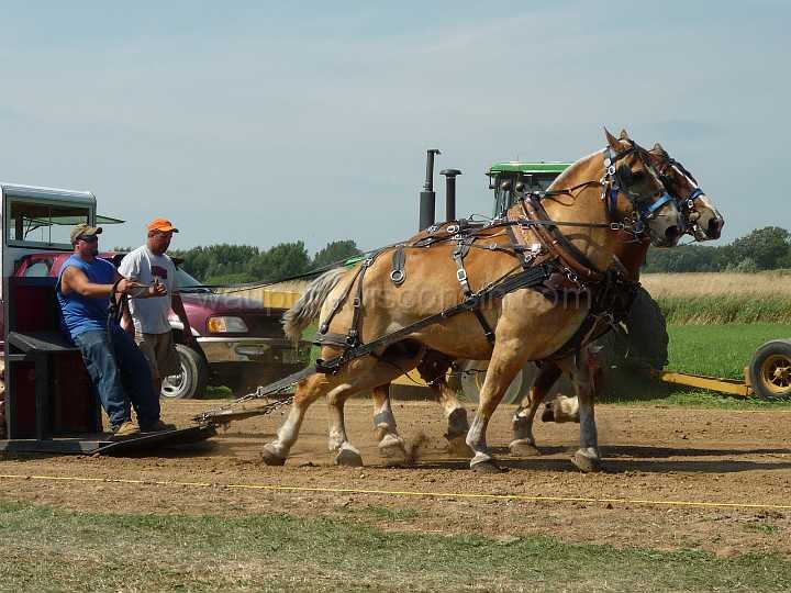 alto-fair-horse-pull-2009-148