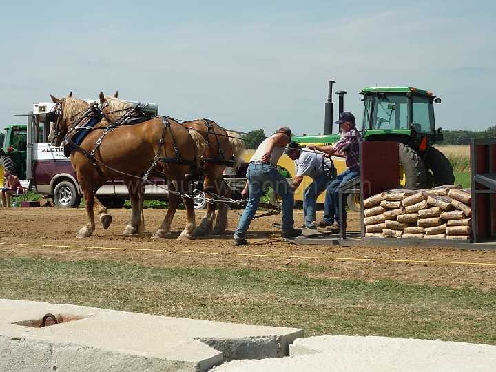 alto-fair-horse-pull-2009-153