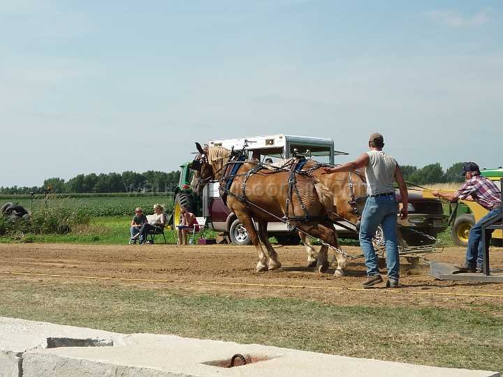 alto-fair-horse-pull-2009-159