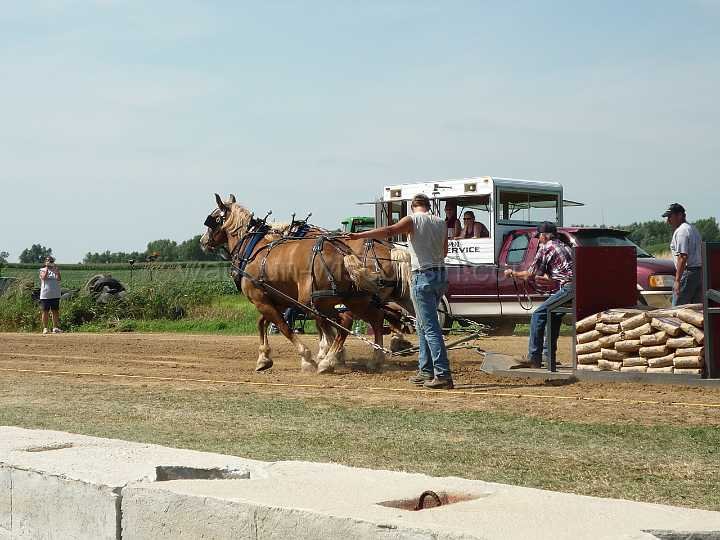alto-fair-horse-pull-2009-162