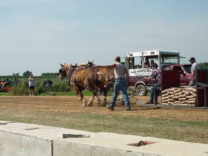 alto-fair-horse-pull-2009-163
