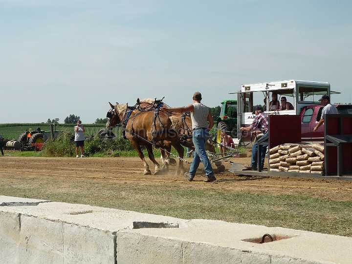 alto-fair-horse-pull-2009-164