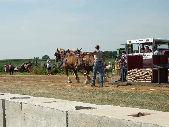 alto-fair-horse-pull-2009-165