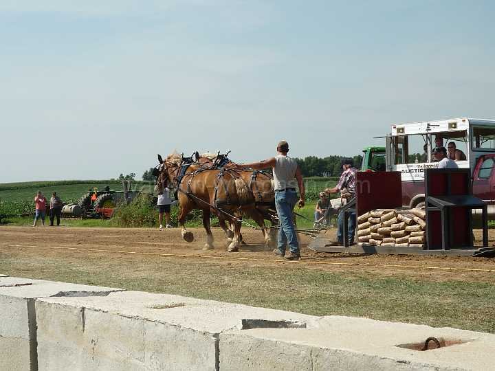 alto-fair-horse-pull-2009-166